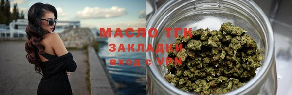 спиды Богородицк