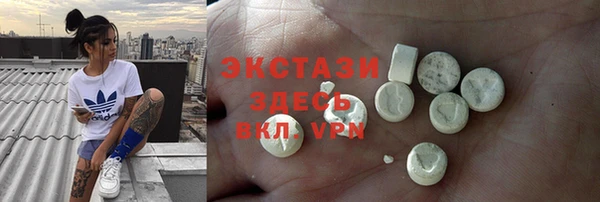 спиды Богородицк