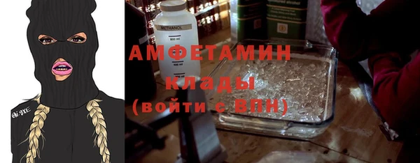 спиды Богородицк