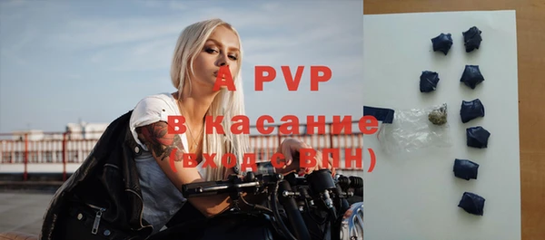 спиды Богородицк