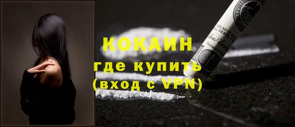 спиды Богородицк
