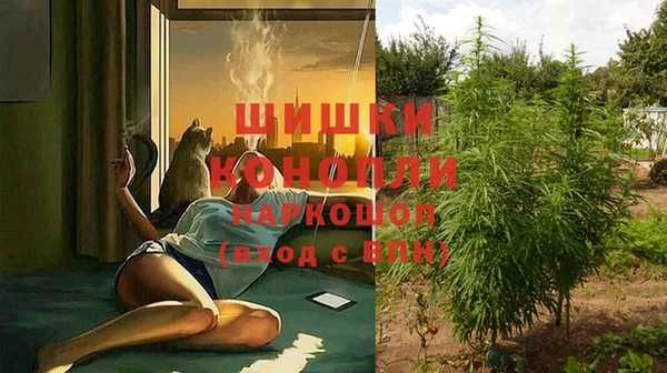 спиды Богородицк