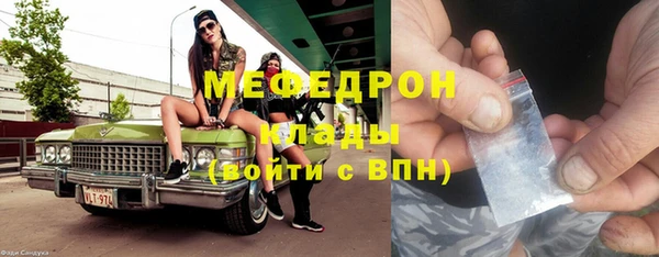 спиды Богородицк