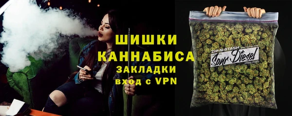 спиды Богородицк